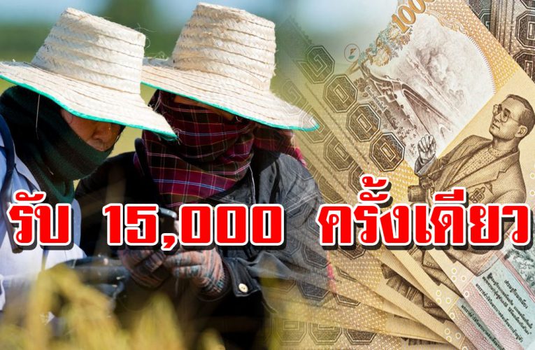 เกษตรกรอย่าลืมเช็กสิทธิ์ตามนี้ กลุ่ม 3 รับ 15,000 บาท