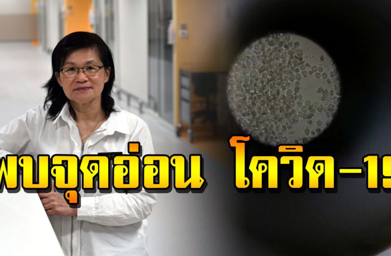 สิงคโปร์พบจุดอ่อนไ ว รั สโควิด-19 ในร่ า งกายมนุษย์