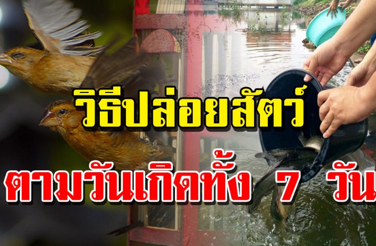 การเงินจะได้คล่องตัวขึ้น ปล่อยสัตว์ที่ถูกต้องตามวันเกิ ดทั้ง 7วัน