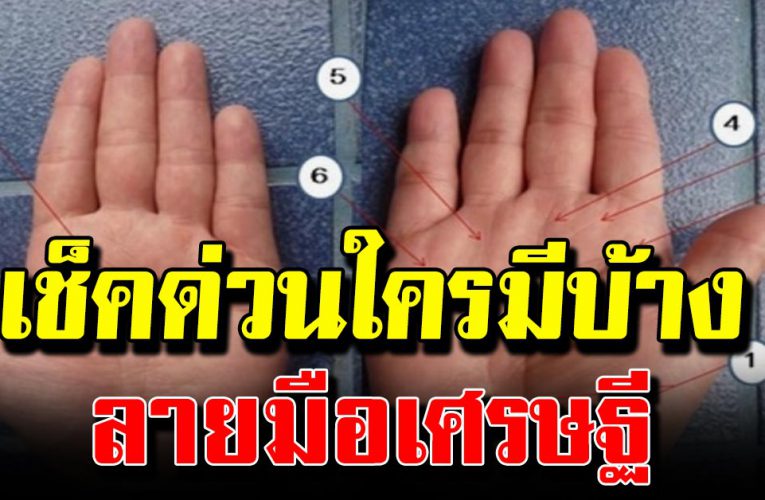 ยกมื อขึ้นมา ดูด่ว  น 7 ลักษณะบอกมือร ว ย ลายมือเศรษฐี