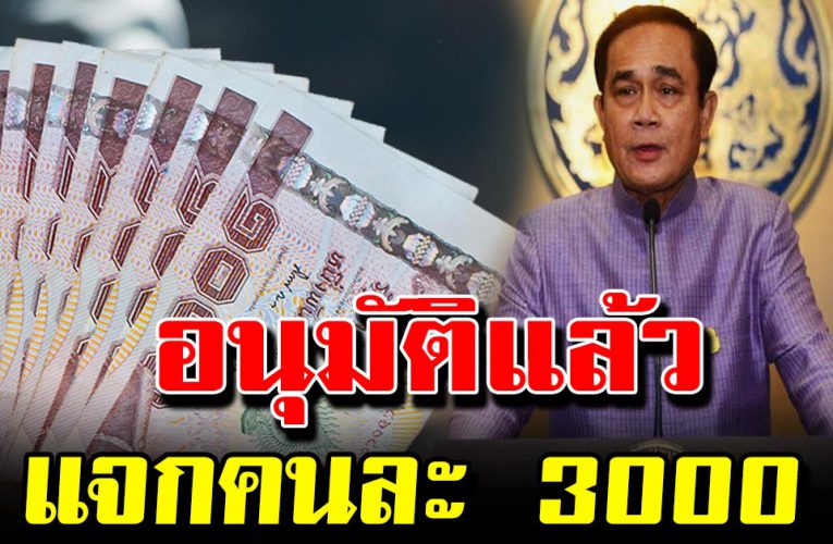 ครม.ไฟเขียว โครงการคนละครึ่ง แจก 3,000