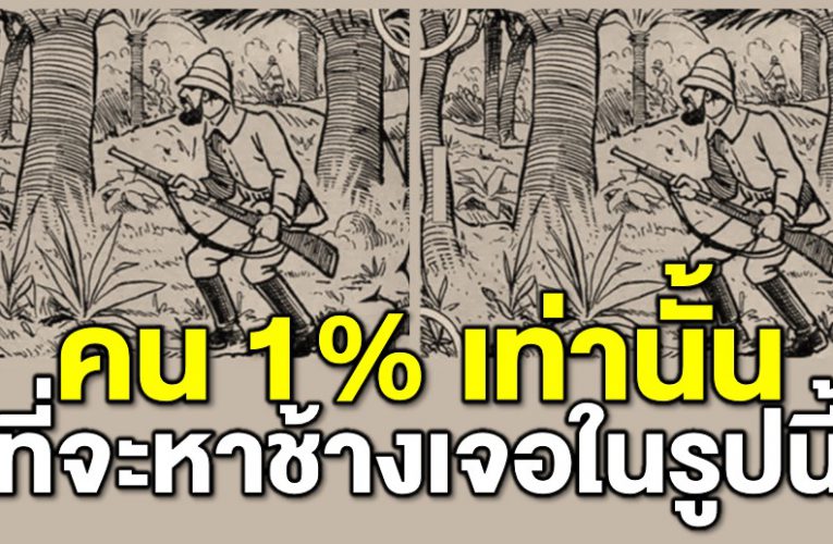 มีคนเพียง 1% ที่จะหาช้างในรูปเจอ